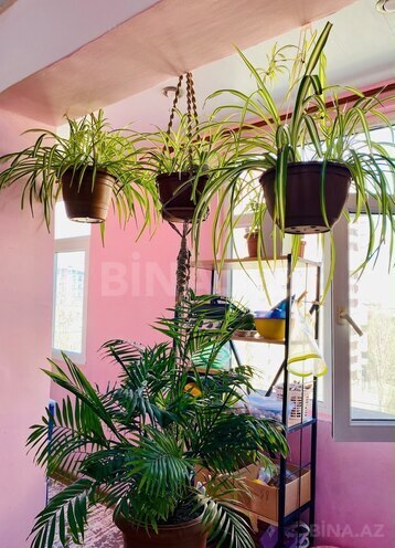 Satılır 1 otaqlı köhnə tikili 47 m², Memar Əcəmi m., photo 7 from 12