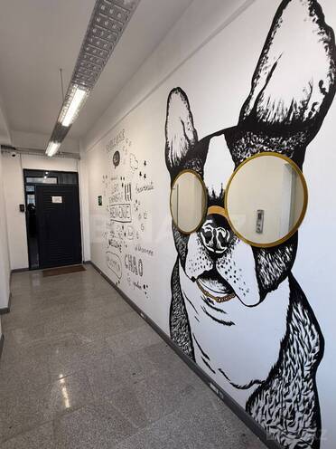 İcarəyə verilir 13 otaqlı ofis 530 m², 28 May m., photo 1 from 23
