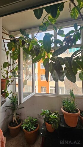 Продаётся 3-комн. новостройка 120 м², пос. Масазыр, photo 14 from 17