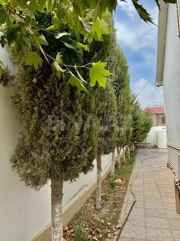 Satılır 3 otaqlı həyət evi/bağ evi 80 m², Nardaran q., photo 18 from 21