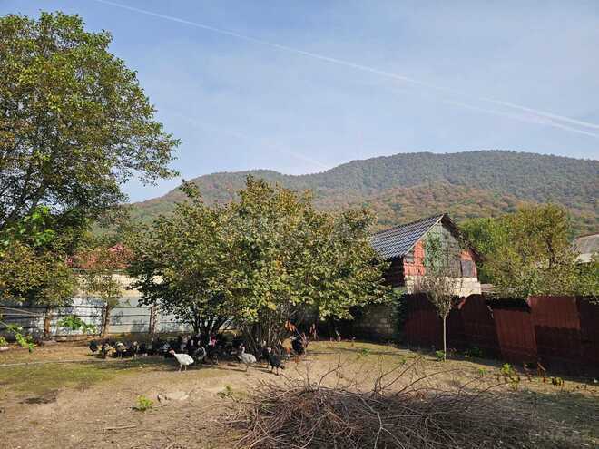 Satılır  torpaq 5 sot, photo 3 from 8