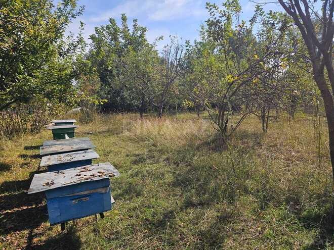 Продается  участок 5 сот, photo 10 from 12