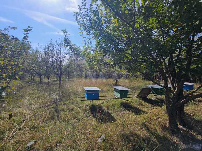 Продается  участок 5 сот, photo 3 from 12