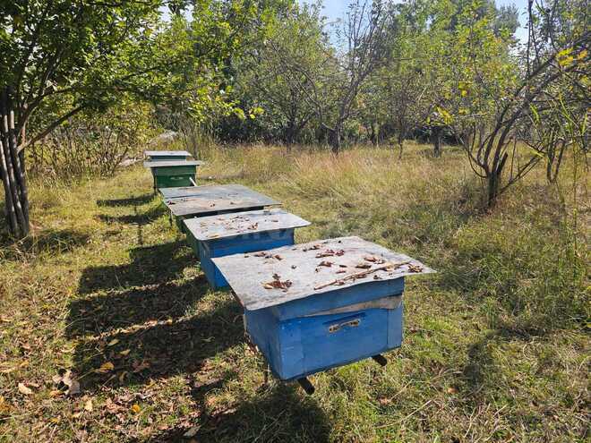 Продается  участок 5 сот, photo 1 from 12