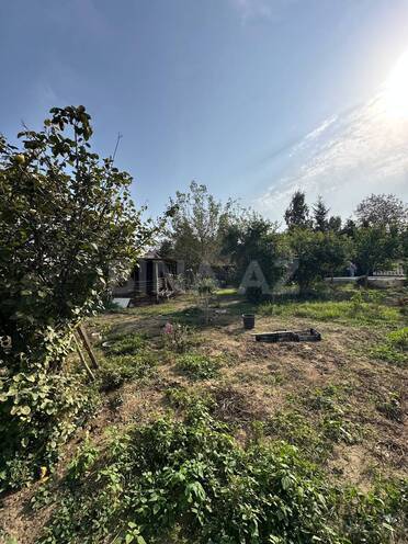 Продается  участок 5 сот, пос. Шаган, photo 4 from 8