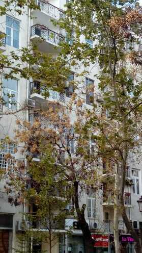 İcarəyə verilir 2 otaqlı köhnə tikili 60 m², Sahil m., photo 17 from 19