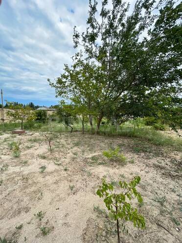 Продается 5-комн. дом/дача 280 м², пос. Новханы, photo 6 from 32