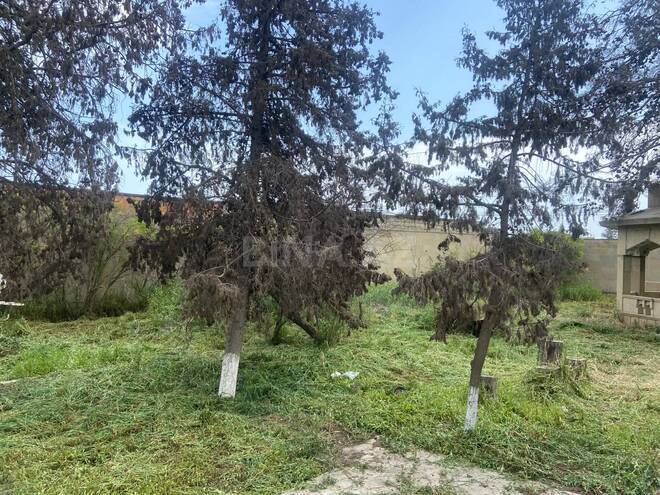Продается  участок 6 сот, пос. Савалан, photo 5 from 6