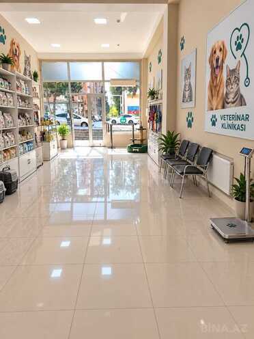 Продается  объект 87.5 м², м. Ахмедлы, photo 3 from 6
