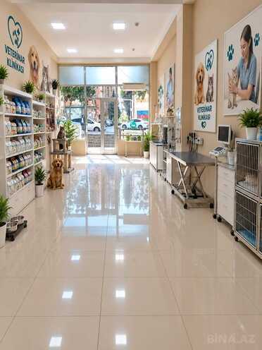 Продается  объект 87.5 м², м. Ахмедлы, photo 4 from 6