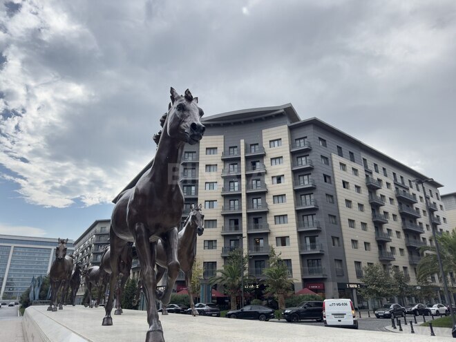 Satılır 5 otaqlı yeni tikili 245 m², Ağ şəhər q., photo 15 from 30