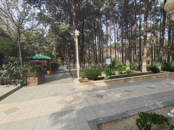 Сдаётся  объект 256 м², photo 19 from 22