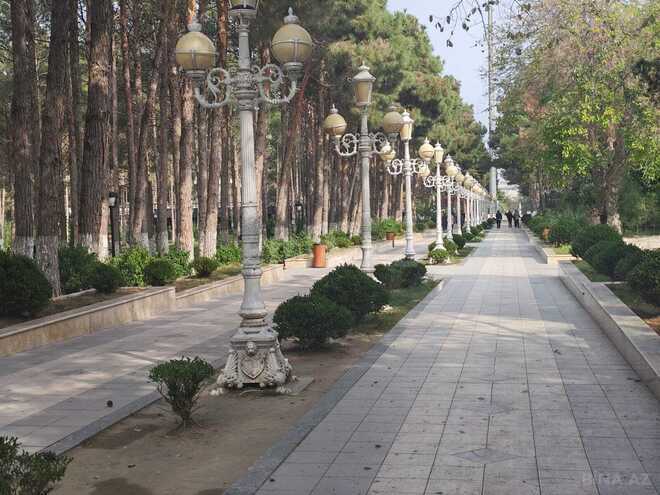 Сдаётся  объект 256 м², photo 17 from 22