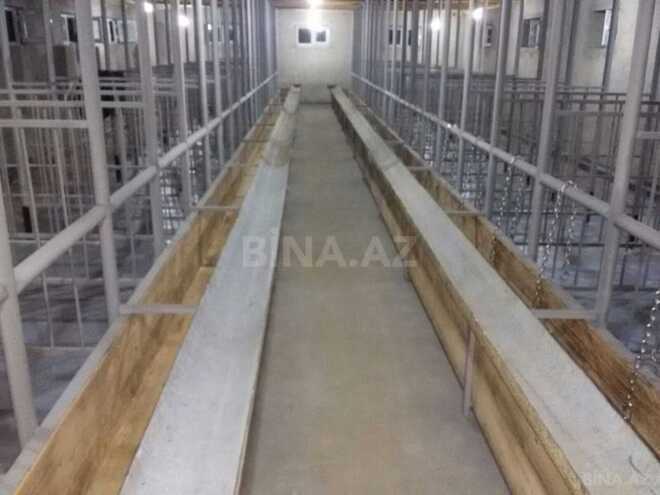 Продаётся  объект 300 м², photo 4 from 26