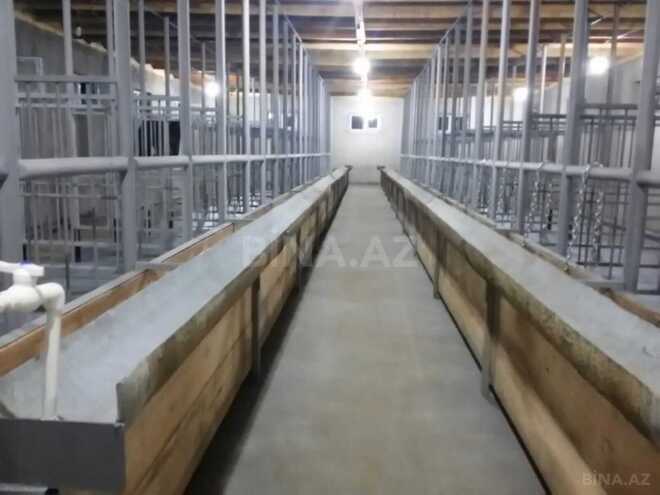 Продаётся  объект 300 м², photo 6 from 26