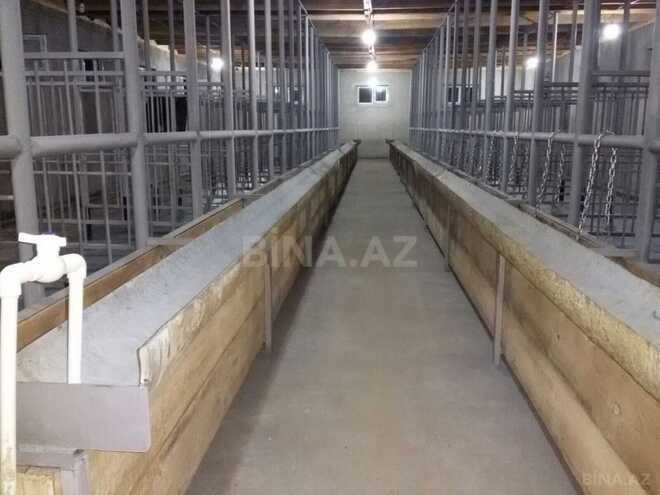 Продаётся  объект 300 м², photo 8 from 26