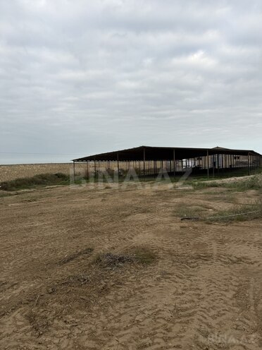 İcarəyə verilir  torpaq 140 sot, Məmmədli q., photo 3 from 5