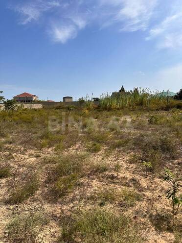 Satılır  torpaq 6 sot, Nardaran q., photo 3 from 7