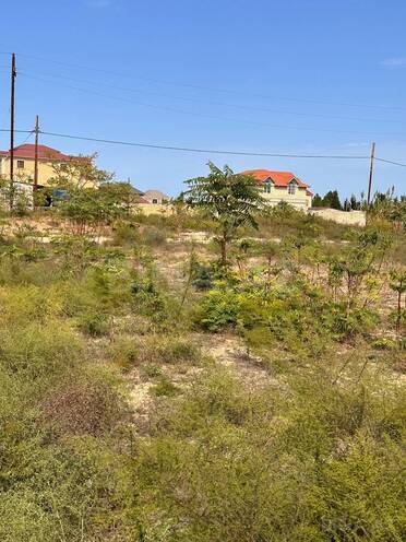 Satılır  torpaq 6 sot, Nardaran q., photo 1 from 7