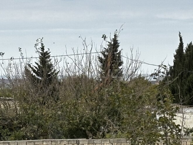 Satılır 4 otaqlı həyət evi/bağ evi 135 m², Nardaran q., photo 20 from 31