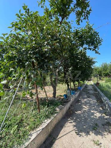 Satılır 5 otaqlı həyət evi/bağ evi 250 m², Novxanı q., photo 12 from 32