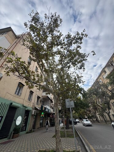Satılır 2 otaqlı köhnə tikili 43 m², Elmlər Akademiyası m., photo 10 from 23