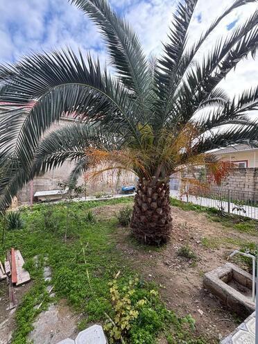 Satılır 5 otaqlı həyət evi/bağ evi 220 m², photo 1 from 26