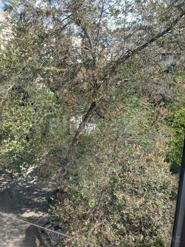 Продается 4-комн. новостройка 110 м², м. Гянджлик, photo 27 from 28