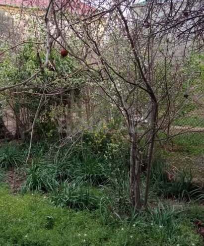 Satılır 5 otaqlı həyət evi/bağ evi 114 m², Binəqədi r., photo 9 from 10