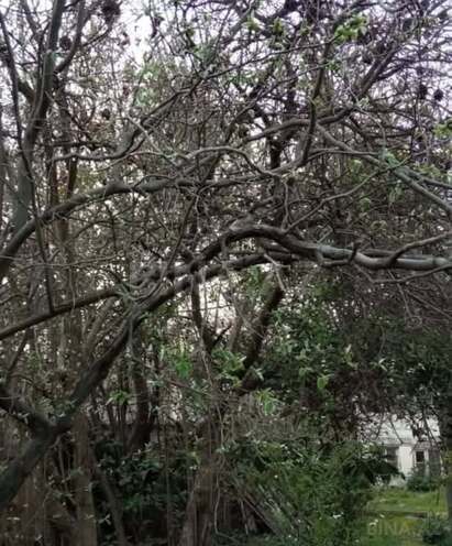 Satılır 5 otaqlı həyət evi/bağ evi 114 m², Binəqədi r., photo 7 from 10
