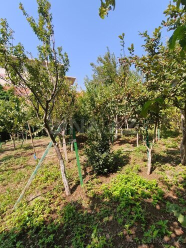 Satılır 8 otaqlı həyət evi/bağ evi 460 m², Şıxov q., photo 14 from 17