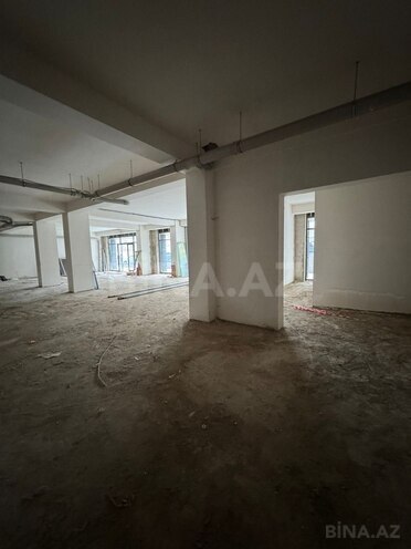 Сдается  объект 363 м², м. Низами, photo 14 from 16