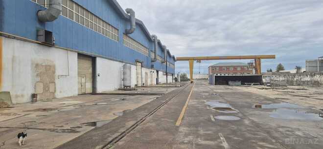 İcarəyə verilir  obyekt 16 000 m², Zığ q., photo 9 from 18