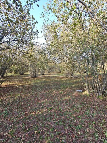 Продаётся  участок 31 сот, photo 7 from 8