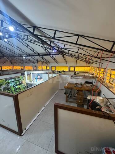 İcarəyə verilir  obyekt 340 m², Memar Əcəmi m., photo 16 from 19