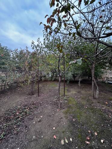 Продается 3-комн. дом/дача 100 м², м. Иншаатчылар, photo 5 from 13