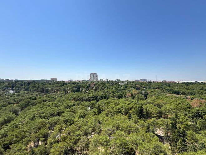 Satılır 1 otaqlı yeni tikili 59 m², photo 11 from 16