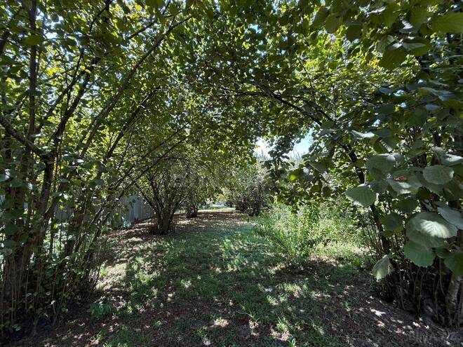 Satılır 8 otaqlı həyət evi/bağ evi 200 m², photo 16 from 18