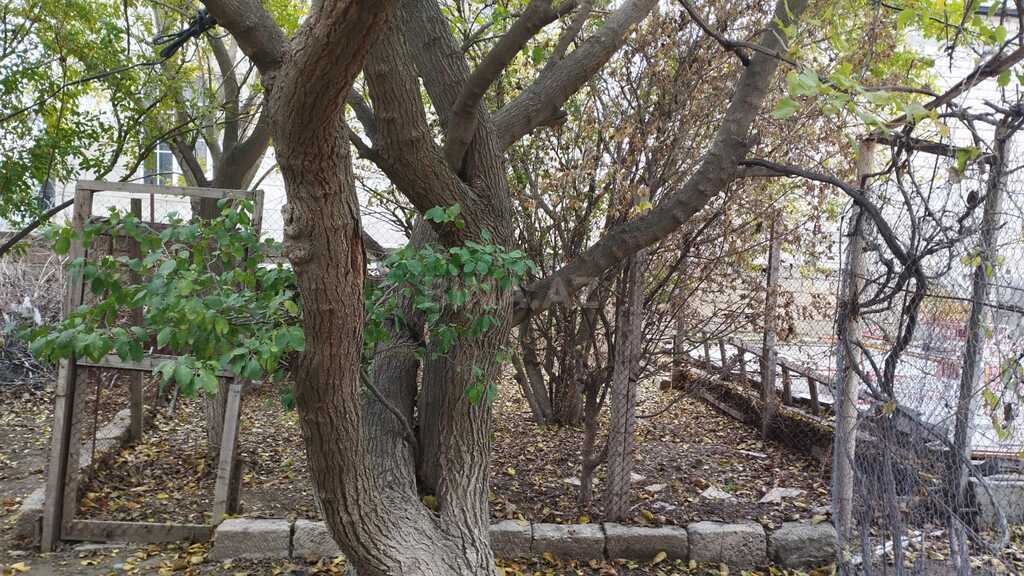 5 otaqlı həyət evi/bağ evi - Yeni Günəşli q. - 240 m² (3)