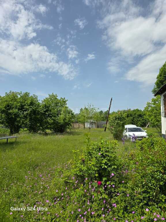 4 otaqlı həyət evi/bağ evi - Qəbələ - 120 m² (9)