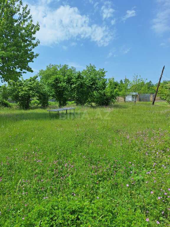 4 otaqlı həyət evi/bağ evi - Qəbələ - 120 m² (10)