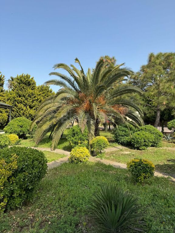 5 otaqlı həyət evi/bağ evi - Mərdəkan q. - 300 m² (13)