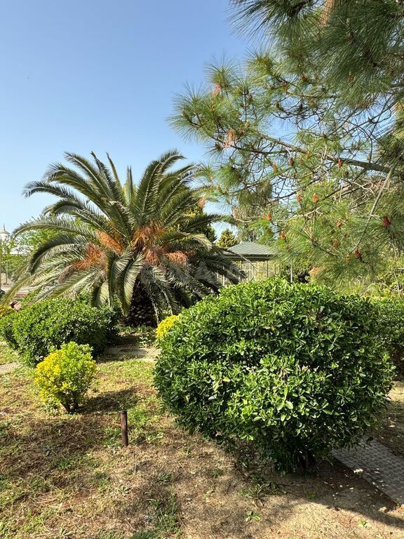 5 otaqlı həyət evi/bağ evi - Mərdəkan q. - 300 m² (9)