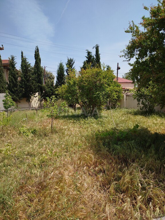 6 otaqlı həyət evi/bağ evi - Novxanı q. - 240 m² (25)