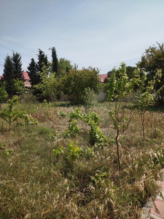 6 otaqlı həyət evi/bağ evi - Novxanı q. - 240 m² (28)
