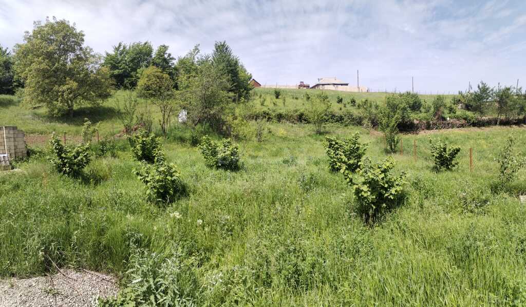 6 otaqlı həyət evi/bağ evi - Qusar - 150 m² (19)