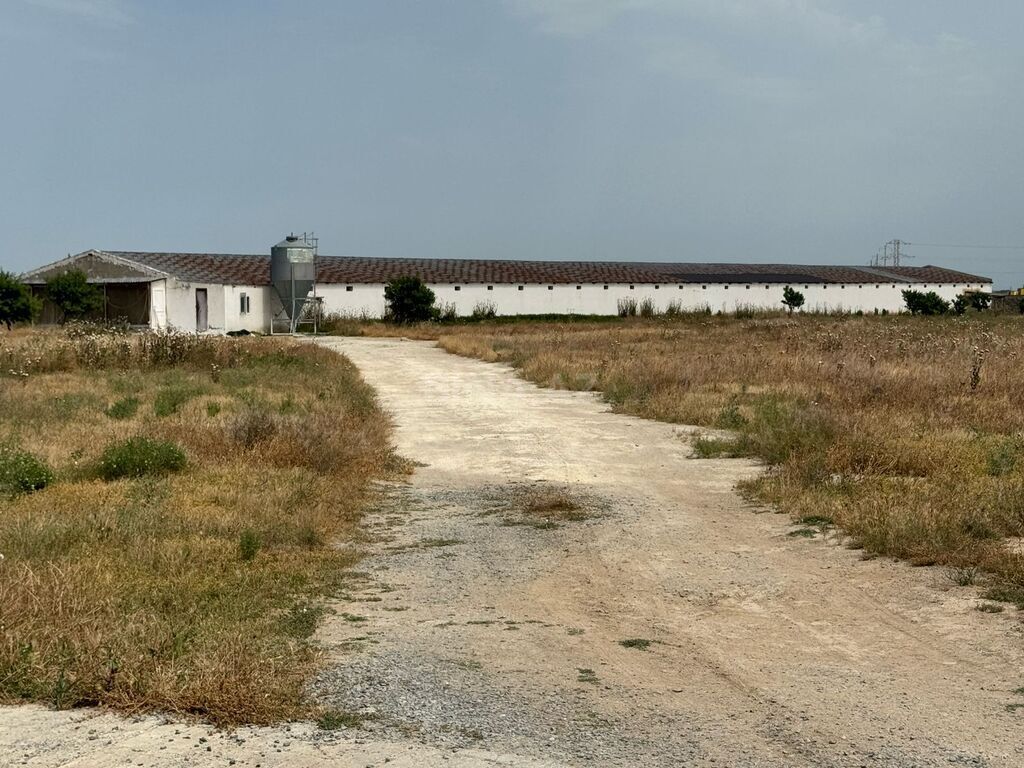 Obyekt - Hövsan q. - 2200 m² (3)