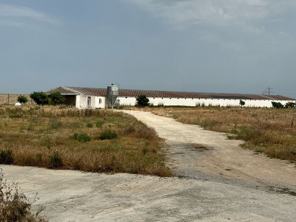 Obyekt - Hövsan q. - 2200 m² (4)