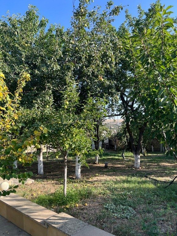 5 otaqlı həyət evi/bağ evi - Xızı - 180 m² (4)