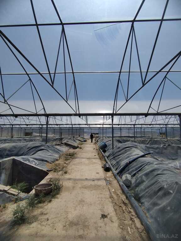 Obyekt - Türkan q. - 10000 m² (2)